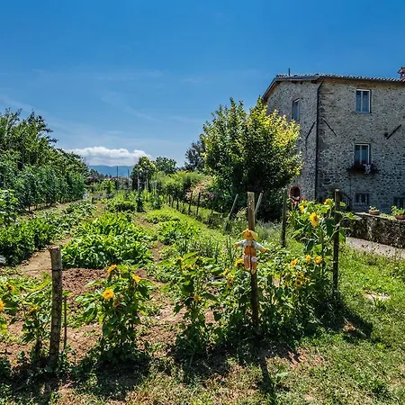 Agriturismo Chioi Barga Exterior photo