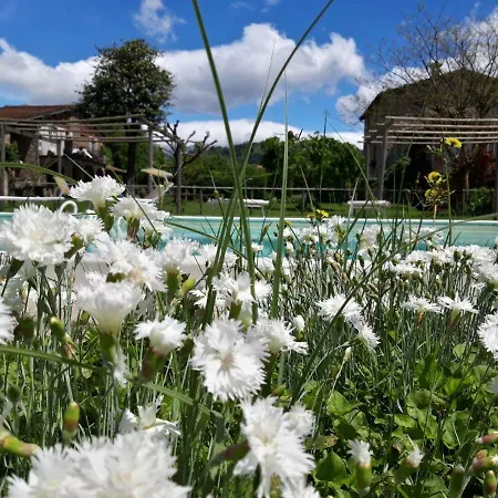 Agriturismo Chioi Barga Exterior photo